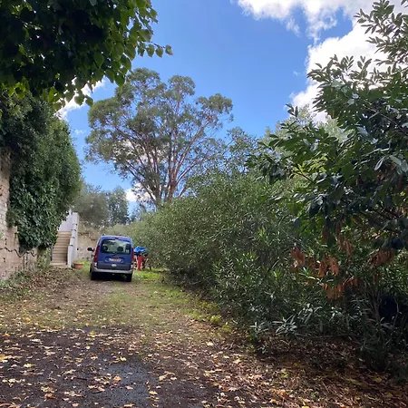 Casetta Indipendente Con Cortile E Parcheggio * Řím